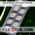 Gros Pénis Stimulant Sexuel Masculin 08